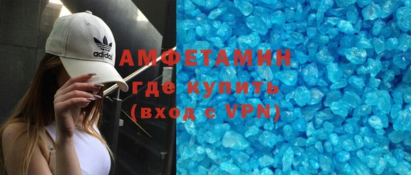 мет Алексин