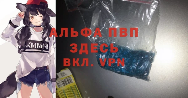 мет Алексин