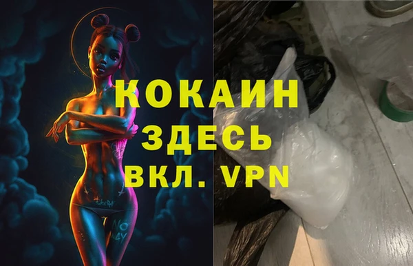 мет Алексин