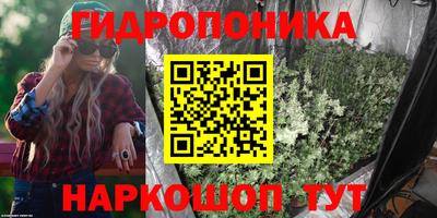 сатива Краснокаменск