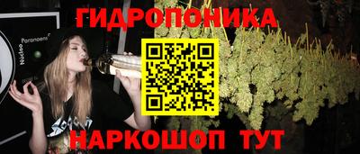 сатива Краснокаменск