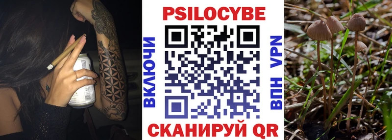 darknet наркотические препараты  Котовск  Псилоцибиновые грибы Cubensis 