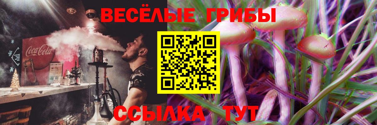 Котовск  Псилоцибиновые грибы ЛСД  Вход с VPN 